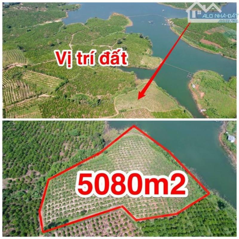 View hồ đỉnh cao, giáp chân hồ, lại giáp suối. 