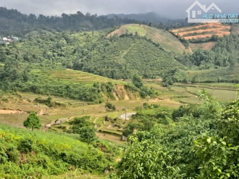 BÁN ĐẤT MĂNG ĐEN HUYỆN KONPLONG TỈNH KONTUM