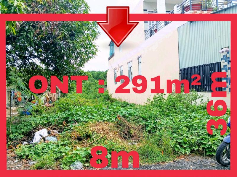 Cần bán gấp lô đất 291m² sổ hồng thổ cư xã Thạnh Phú ( 8x36 )