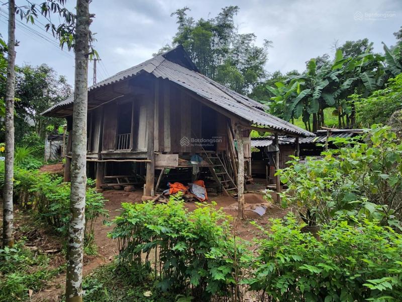 1700m2 Thạch Yên, Hòa Bình view ruộng bậc thang