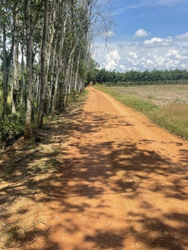 BÁN ĐẤT CHÂU THÀNH TÂY NINH