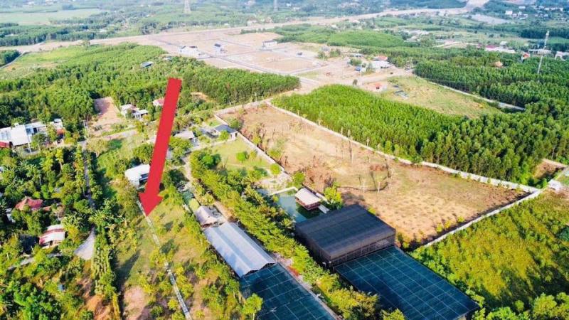 300m2 CLN Mặt Tiền đường Nhựa Hoà Phú Vị trí: Thuộc Đông Lâm, Hòa Phú, Đà Nẵng