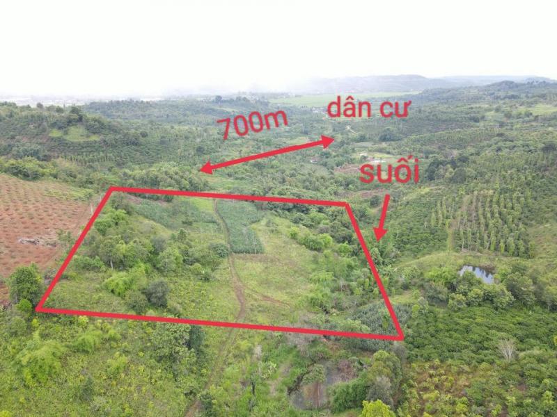 Bán gấp 1,7ha LONG SƠN, ĐĂK MIL, ĐĂK NÔNG