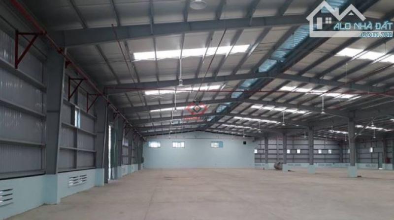 CHO THUÊ KHO XƯỞNG 6000M2 TẠI KCN VIỆT HÀN, BẮC GIANG