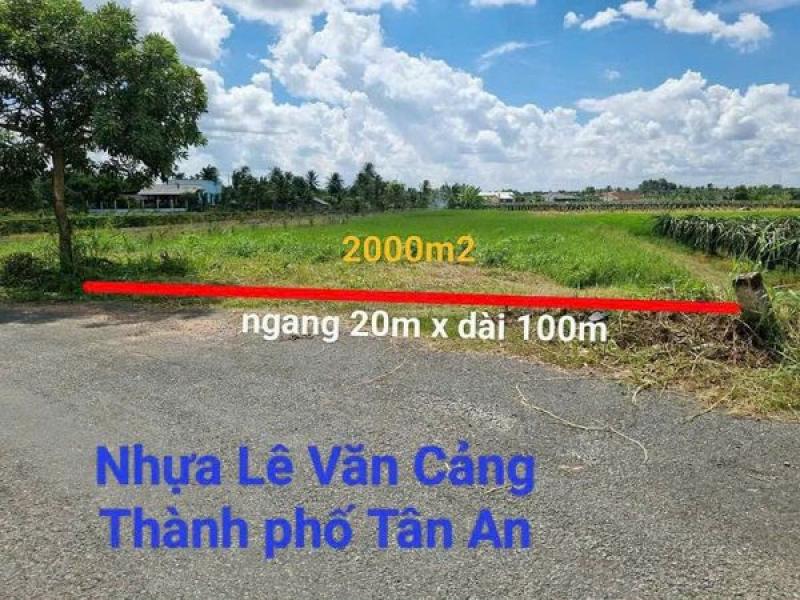 Chính chủ gửi bán 02 công luá mt nhựa đường Lê Văn Cảng xã An Vĩnh Ngãi TPTA Long An.den