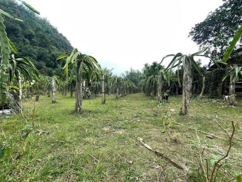 Tổng bìa 6000m đất, tuỳ nhu cầu của khách, ai thiện trí liên hệ em.