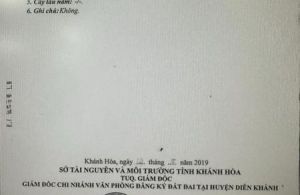  bán căn nhà vườn biệt thự mái thái tâm huyết cực đẹp sau lưng cây xăng Hưng Thịnh, Diên Hoà