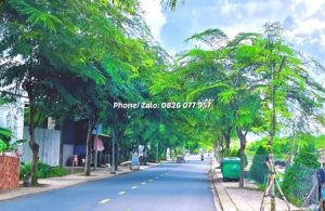 NHÀ MẶT TIỀN LỘ HOÀ ĐÔNG, Phường Hoà Thuận, Tp.Cao Lãnh