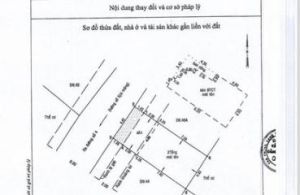  Nhà Phố , P Thảo Điền TP Thủ Đức 