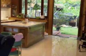 Bán đất kèm homestay nghỉ dưỡng gần trạm thu phí định an, hiệp an đức trọng 12 tỷ