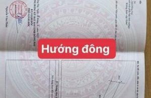 Đất Bình minh sổ riêng thổ cư 2lô liền kề.cách đường nhựa thông ra trường học Đinh tiên 30m 