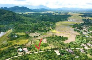 BÁN ĐẤT VIEW CÁNH ĐỒNG - BETONG – TÁCH ĐƯỢC 3 LÔ CƯ JUT