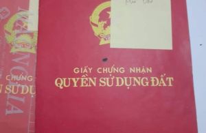 CẦN NHƯỢNG LẠI LÔ ĐẤT ĐẸP XÃ VÂN HỒ -HUYỆN VÂN HỒ -TỈNH SƠN LA