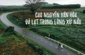 LÔ ĐẤT THUỘC CAO NGUYÊN VÂN HOÀ_XÃ SƠN LONG_PHÚ YÊN