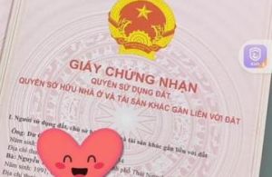 Chính chủ em bán mảnh đất tân lập Vị trí: cách trường cấp 1 2 tân lập 5p đi bộ