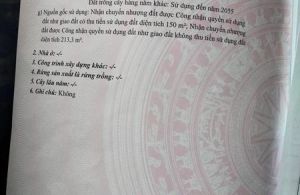 GIÁ NÀO CŨNG BÁN  - Chính chủ em bán lô đất kinh doanh mặt đường nguyễn văn tố thành phố bắc kạn, Đư