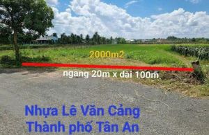 Chính chủ gửi bán 02 công luá mt nhựa đường Lê Văn Cảng xã An Vĩnh Ngãi TPTA Long An.den