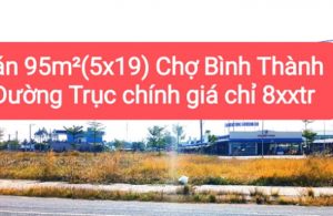 Bán nền Trục Chính Chợ Bình Thành