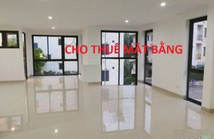 Cho thuê mặt bằng vị trí đẹp đường Võ Thị Sáu