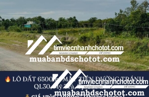 LÔ ĐẤT 6500m² MẶT TIỀN ĐƯỜNG TRÁNH QL30, Mỹ Trà, Tp.Cao Lãnh