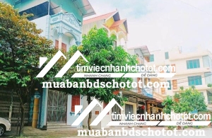 Bán Đất Thổ cư Khả lễ đường oto vi vu thông thoáng phường Võ Cường - thành phố Bắc Ninh. 