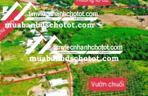 Ngay khu dân cư nhà vườn chỉ 590k/m2 có sẵn vườn chuối