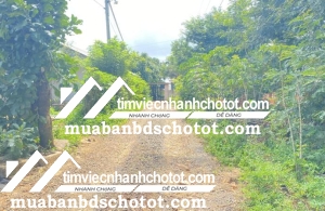 Đất hẻm view hồ đại ninh phú hội đức trọng Lâm Đồng