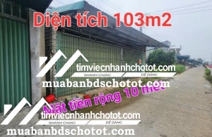 Siêu rẻ nhà vừa ở vừa kinh doanh