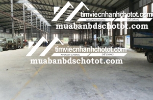 Cho thuê xưởng 12500m2 KCN Bến Tre giá 55k/m2/th