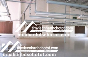 Kho cần cho thuê rộng 800m2 ngay trung tâm thành phố Bến Tre