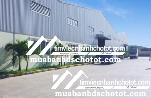 Cho thuê kho - xưởng. DT từ: 500m2, 1000m2, 1500m2, 2000m2, 2500m2, đến 150.000m2 tại Bắc Ninh