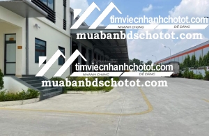 Cho thuê kho xưởng chuẩn logistics tại thành phố Bắc Ninh. DT: 4500m2 - 90000m2